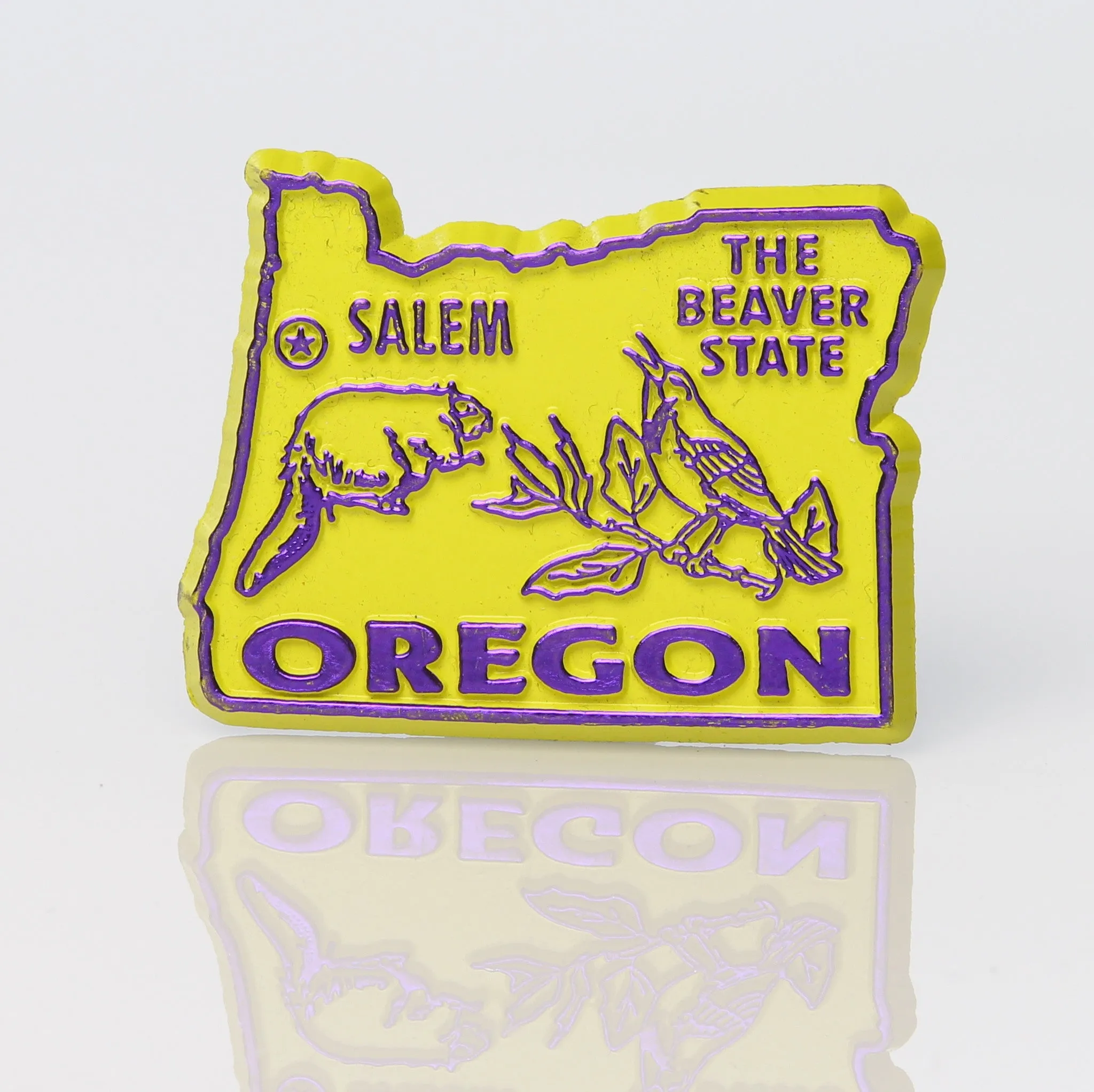 50 State Collectible Magnets