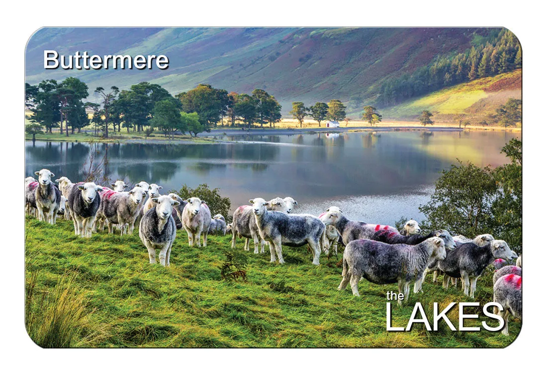 Herdies at Buttermere Flexible Fridge Magnet