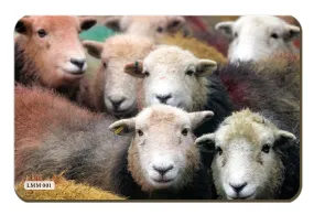 Herdwick Gang Fridge Magnet