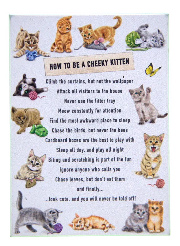 How to be a Cheeky Kitten Funny Cat Fridge Magnet