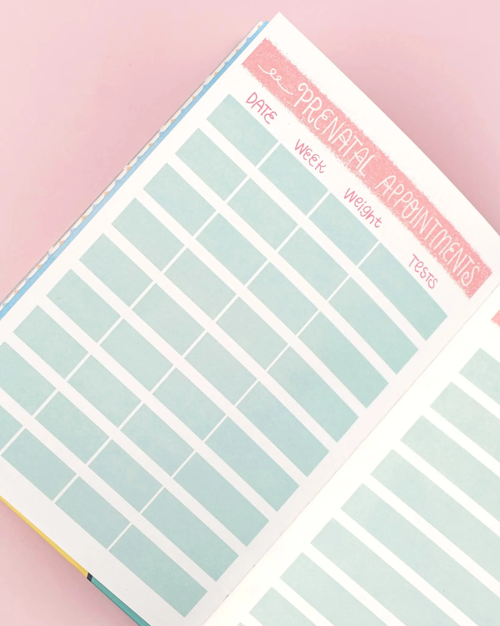 Pregnancy Journal Bump Box