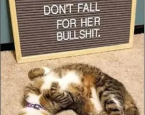 The Cat has been fed. Don't fall for her bullshit. Refridgerator Magnet